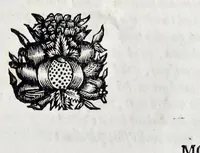 Picture 14 of 15 from Emin.mo ac Rev.mo Principi D. Alvaro e Soc. Jesu S. R. E. Cardinali Cienfuegos ... (1726), leaf 44