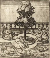 Picture 28 of 57 from Aegidii Albertini Hirnschleiffer (1645), leaf 313