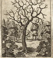 An illustration from Aegidii Albertini Hirnschleiffer (1645)
