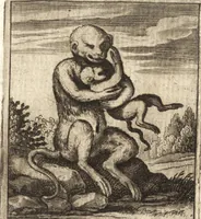 An illustration from Aegidii Albertini Hirnschleiffer (1645)