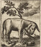 An illustration from Aegidii Albertini Hirnschleiffer (1645)