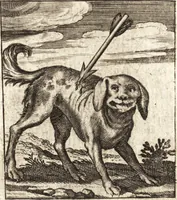 An illustration from Aegidii Albertini Hirnschleiffer (1645)