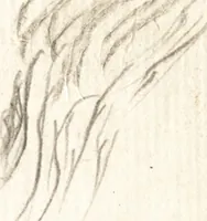 An illustration from Aegidii Albertini Hirnschleiffer (1645)