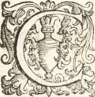 An illustration from Alcvne composizioni di diversi avtori in lode del ritratto della Sabina. Scolpito in marmo dall'eccellentissimo m. Giouanni Bologna, posto nella piazza del serenissimo gran duca di Toscana (1583)