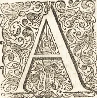 An illustration from Ammiani Marcellini Rerum gestarum qui de XXXI supersunt, libri XVIII (1693)