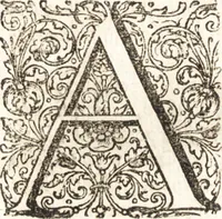 An illustration from Ammiani Marcellini Rerum gestarum qui de XXXI supersunt, libri XVIII (1693)