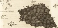 Picture 28 of 69 from Arcana naturae detecta (1695), leaf 108