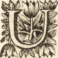 Picture 5 of 69 from Arcana naturae detecta (1695), leaf 16
