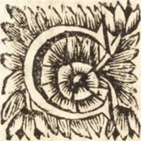 Picture 29 of 69 from Arcana naturae detecta (1695), leaf 169