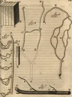 Picture 34 of 69 from Arcana naturae detecta (1695), leaf 244