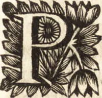Picture 39 of 69 from Arcana naturae detecta (1695), leaf 340
