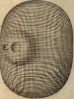 Picture 45 of 69 from Arcana naturae detecta (1695), leaf 382