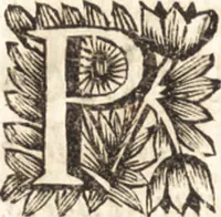 Picture 49 of 69 from Arcana naturae detecta (1695), leaf 451