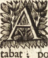 Picture 50 of 69 from Arcana naturae detecta (1695), leaf 461