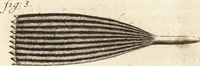 Picture 11 of 69 from Arcana naturae detecta (1695), leaf 53