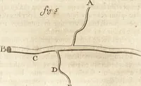 An illustration from Arcana naturae detecta (1695)