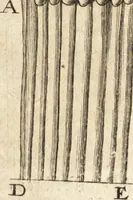 Picture 21 of 69 from Arcana naturae detecta (1695), leaf 82