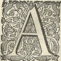 An illustration from Architectura militaris nova et aucta, oder, Newe vermehrte Fortification von regular Vestungen, von irregular Vestungen vnd Aussen wercken, von Praxi offensiva vnd defensiva : auff die neweste Niederländische Praxin gerichtet vnd beschrieben (1665)