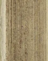 An illustration from Architectura militaris nova et aucta, oder, Newe vermehrte Fortification von regular Vestungen, von irregular Vestungen vnd Aussen wercken, von Praxi offensiva vnd defensiva : auff die neweste Niederländische Praxin gerichtet vnd beschrieben (1665)