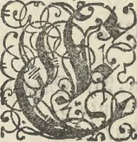An illustration from Architectura militaris nova et aucta, oder, Newe vermehrte Fortification von regular Vestungen, von irregular Vestungen vnd Aussen wercken, von Praxi offensiva vnd defensiva : auff die neweste Niederländische Praxin gerichtet vnd beschrieben (1665)