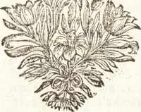 An illustration from d' Argenis van J. Barklai : daar in niet alleenlijk veel vreemde voorvallen van gebeurlijke dingen, maar bezonderlijk vortreffelijke zaken, die de godsdienst, de bestiering van staten, beleit van oorlogen, en de burgerlijke handel aangaan, vertoont worden : beneffens de sleutel en aanwijzing van de namen der personen, die men daar by verstaan kan (1680)