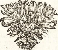 An illustration from d' Argenis van J. Barklai : daar in niet alleenlijk veel vreemde voorvallen van gebeurlijke dingen, maar bezonderlijk vortreffelijke zaken, die de godsdienst, de bestiering van staten, beleit van oorlogen, en de burgerlijke handel aangaan, vertoont worden : beneffens de sleutel en aanwijzing van de namen der personen, die men daar by verstaan kan (1680)