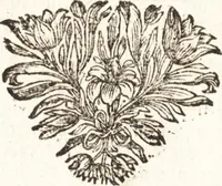 An illustration from d' Argenis van J. Barklai : daar in niet alleenlijk veel vreemde voorvallen van gebeurlijke dingen, maar bezonderlijk vortreffelijke zaken, die de godsdienst, de bestiering van staten, beleit van oorlogen, en de burgerlijke handel aangaan, vertoont worden : beneffens de sleutel en aanwijzing van de namen der personen, die men daar by verstaan kan (1680)