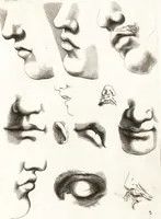 Picture 4 of 34 from Ars pictoria : or, An academy treating of drawing, painting, limning and etching : to which are added thirty copper plates expressing the choicest, nearest, and most exact grounds and rules of symmetry (1669), leaf 126