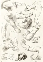 Picture 14 of 34 from Ars pictoria : or, An academy treating of drawing, painting, limning and etching : to which are added thirty copper plates expressing the choicest, nearest, and most exact grounds and rules of symmetry (1669), leaf 146