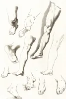 Picture 17 of 34 from Ars pictoria : or, An academy treating of drawing, painting, limning and etching : to which are added thirty copper plates expressing the choicest, nearest, and most exact grounds and rules of symmetry (1669), leaf 152
