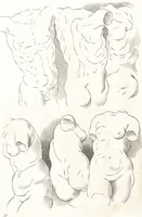 Picture 20 of 34 from Ars pictoria : or, An academy treating of drawing, painting, limning and etching : to which are added thirty copper plates expressing the choicest, nearest, and most exact grounds and rules of symmetry (1669), leaf 158