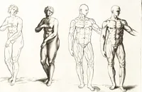 Picture 23 of 34 from Ars pictoria : or, An academy treating of drawing, painting, limning and etching : to which are added thirty copper plates expressing the choicest, nearest, and most exact grounds and rules of symmetry (1669), leaf 164