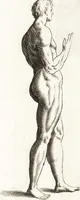 Picture 26 of 34 from Ars pictoria : or, An academy treating of drawing, painting, limning and etching : to which are added thirty copper plates expressing the choicest, nearest, and most exact grounds and rules of symmetry (1669), leaf 164