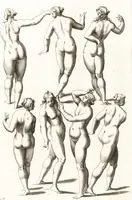 Picture 28 of 34 from Ars pictoria : or, An academy treating of drawing, painting, limning and etching : to which are added thirty copper plates expressing the choicest, nearest, and most exact grounds and rules of symmetry (1669), leaf 168