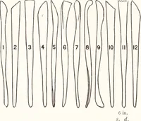 An illustration from Artists' colour makers (1901)