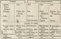 An illustration from Athanasii Kircheri e Soc. Jesu Turris Babel, sive, Archontologia qua primo priscorum post diluvium hominum vita, mores rerumque gestarum magnitudo, secundo Turris fabrica civitatumque extructio, confusio linguarum, & inde gentium transmigrationis, cum principalium inde enatorum idiomatum historiia, multiplici eruditione describunter & explicantur (1679)