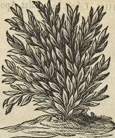 An illustration from Athanasii Kircheri e Soc. Jesu Turris Babel, sive, Archontologia qua primo priscorum post diluvium hominum vita, mores rerumque gestarum magnitudo, secundo Turris fabrica civitatumque extructio, confusio linguarum, & inde gentium transmigrationis, cum principalium inde enatorum idiomatum historiia, multiplici eruditione describunter & explicantur (1679)