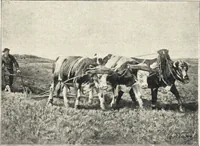 An illustration from Belgische Kunst des 19. Jahrhunderts (1906)