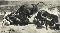Picture 99 of 183 from Belgische Kunst des 19. Jahrhunderts (1906), leaf 172