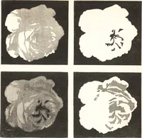 Picture 32 of 68 from A practical handbook of dyeing and calico-printing. With eleven page-plates, forty-seven specimens of dyed and printed fabrics, and thirty-eight woodcuts (1874), leaf 582