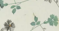Picture 59 of 68 from A practical handbook of dyeing and calico-printing. With eleven page-plates, forty-seven specimens of dyed and printed fabrics, and thirty-eight woodcuts (1874), leaf 676