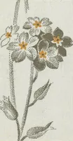 Picture 60 of 68 from A practical handbook of dyeing and calico-printing. With eleven page-plates, forty-seven specimens of dyed and printed fabrics, and thirty-eight woodcuts (1874), leaf 676