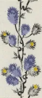 Picture 62 of 68 from A practical handbook of dyeing and calico-printing. With eleven page-plates, forty-seven specimens of dyed and printed fabrics, and thirty-eight woodcuts (1874), leaf 677
