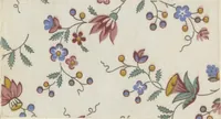 Picture 65 of 68 from A practical handbook of dyeing and calico-printing. With eleven page-plates, forty-seven specimens of dyed and printed fabrics, and thirty-eight woodcuts (1874), leaf 679