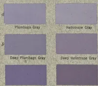 An illustration from Color standards and color nomenclature (1912)