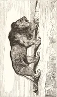 An illustration from The grammar of painting and engraving (1874)
