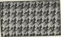 An illustration from Colour in woven design (1890)