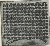 An illustration from Colour in woven design (1890)