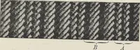 An illustration from Colour in woven design (1890)