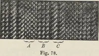Picture 81 of 156 from Colour in woven design (1890), leaf 304